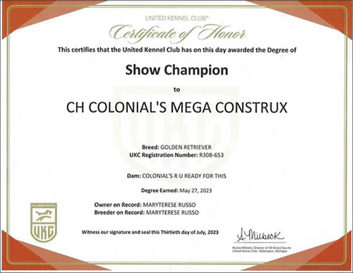 Mega certificate