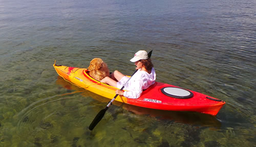Lyric- Tassel X Josh puppy 12 months goes for a kayak ride