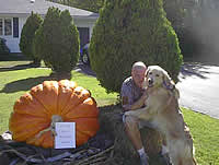 Krypto and the giant pumpkin